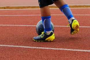 CBA新赛季全面开打各队实力全面升级，cba新赛季有哪些球队